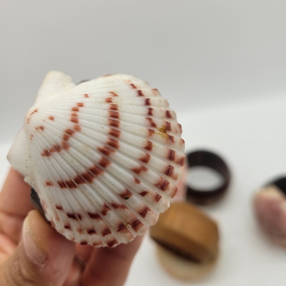 Vintage set of 6 Seashell/Wood Cloth Napkin Rings - Picture 5 of 7